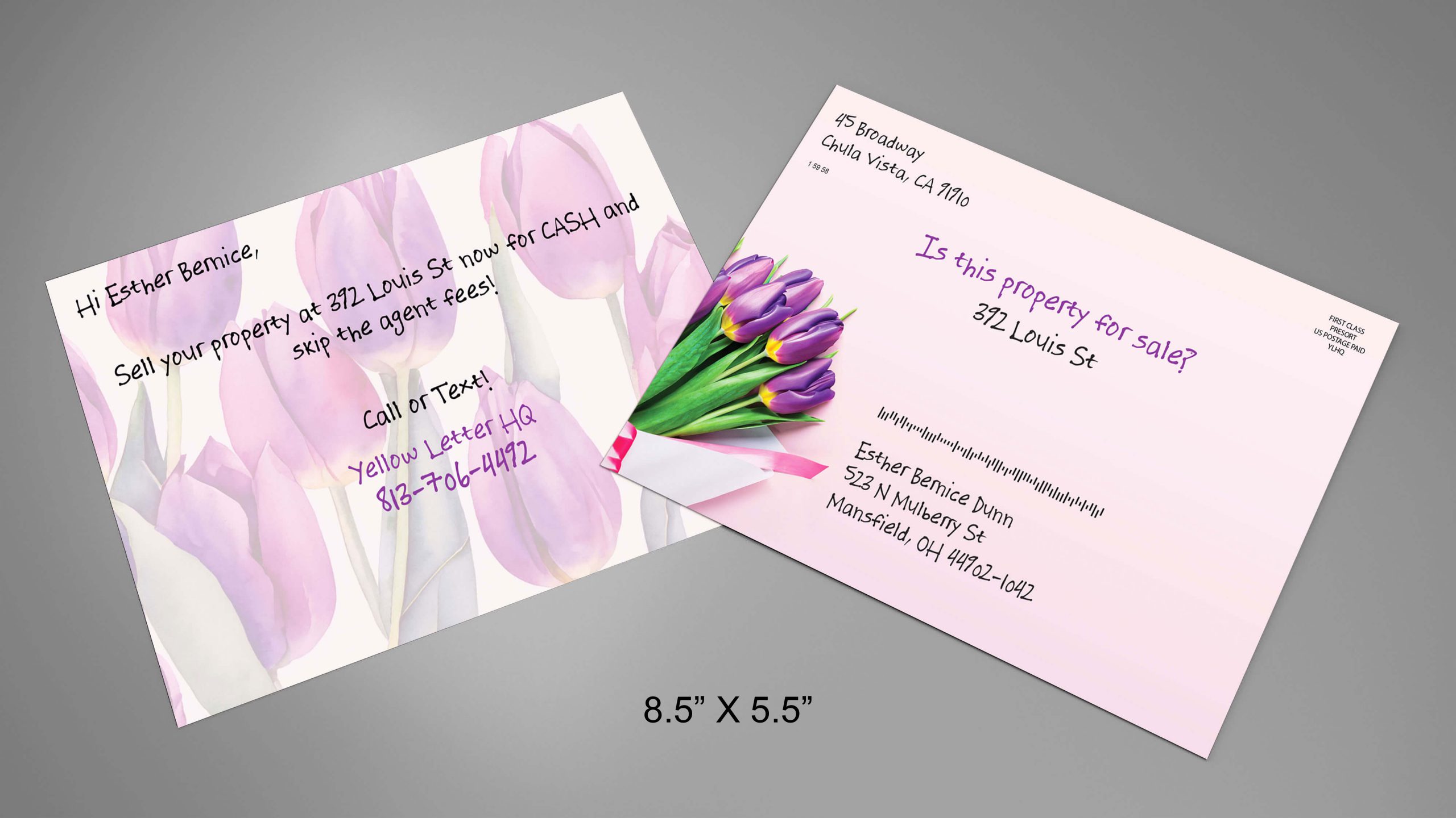 Violet-Postcard (2)